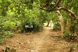 Lazardo Trail